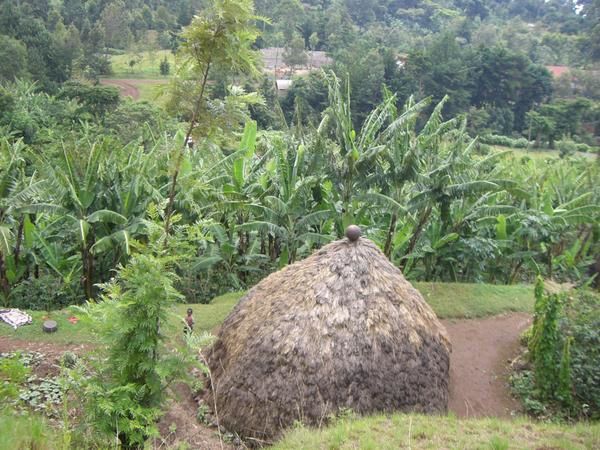 Album - tanzanie-kili-safari