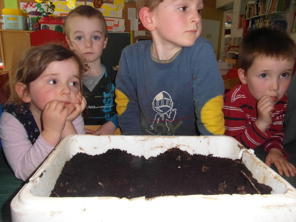 Des semis pour la kermesse de l'école 