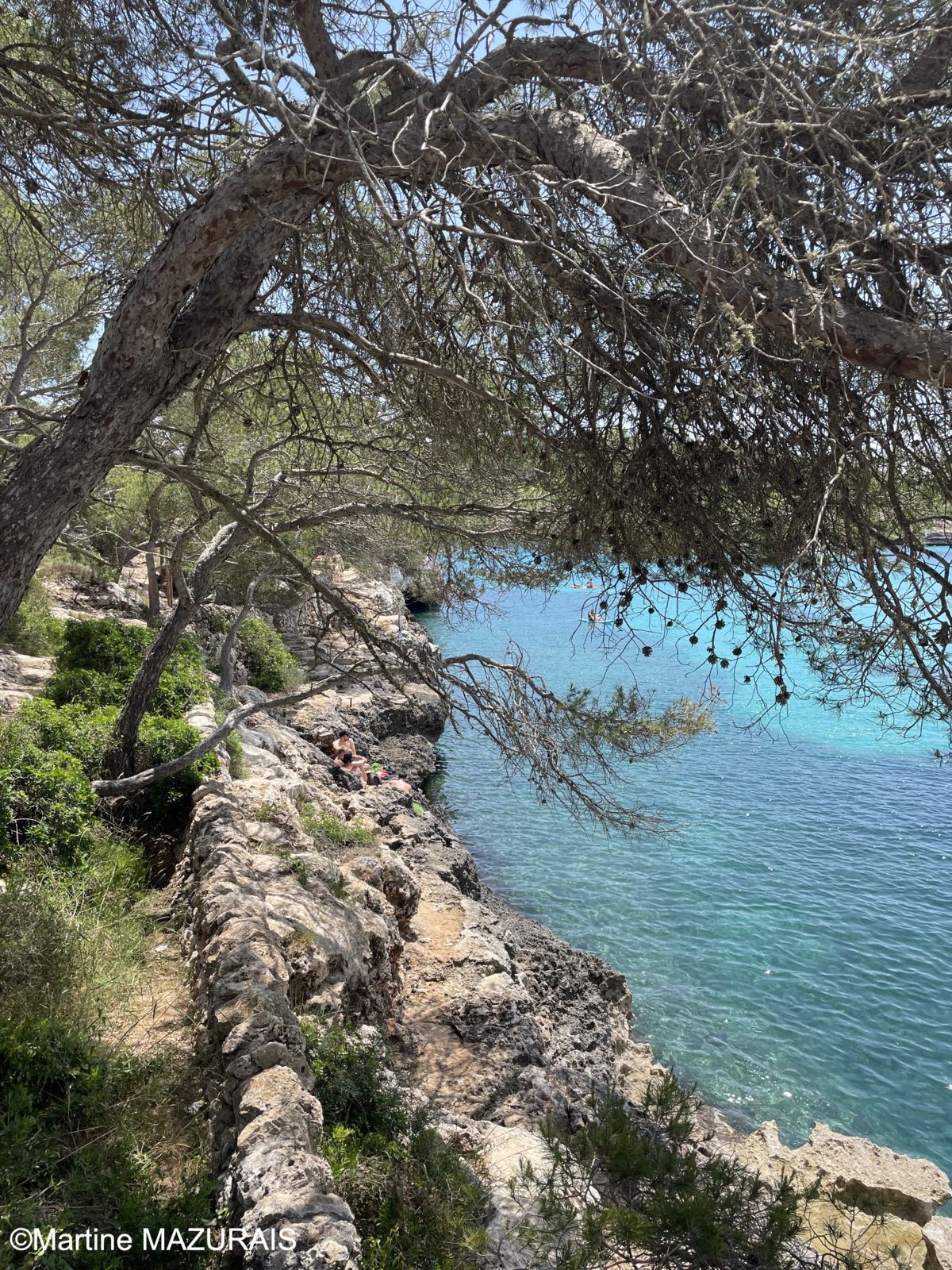 Cala Mondragó (Santanyí)