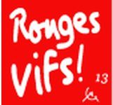 Rouge Vif 13 et les élections départementales