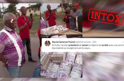 Intox : Non, cette vidéo ne montre pas le président du Sénat gabonais fuyant le pays avec des valises remplies de billets