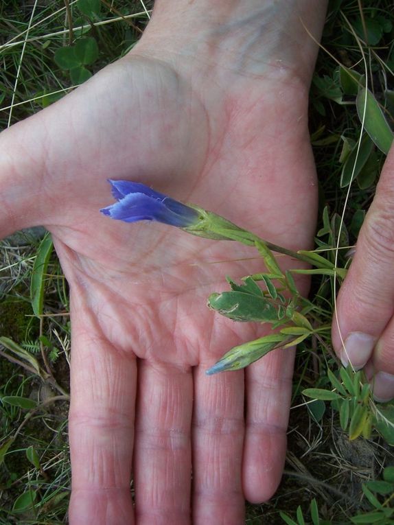 Album - Photos-environnement-et-patrimoine.-