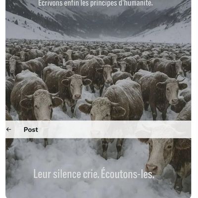 M.?Nicolas Dupont-Aignan et les vaches sous la neige