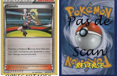 SERIE/XY/POINGS FURIEUX/91-100/95/111