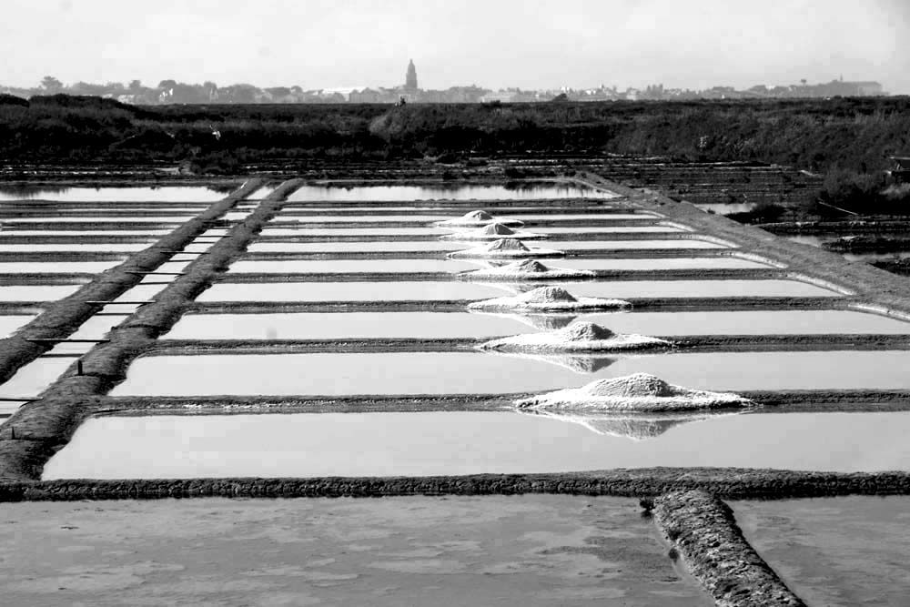 Album - Les Marais-salants de Guerande en noir et blanc