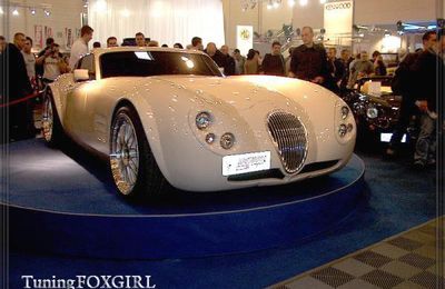 Wiesmann GT V10