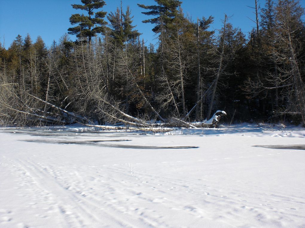 du 2 février au 5 février 2012