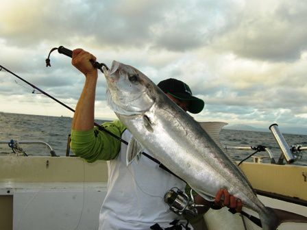 les poissons de ce début d'année