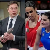 " Les hommes n'ont pas leur place dans le sport féminin " : Elon Musk et JK Rowling critiquent les organisateurs de l'O/L/Y/M/P/I/C pour le combat de la boxeuse " biologiquement masculine " Imane Khelif - Luxury Blog