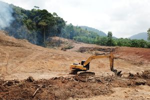 La destruction de la biodiversité engendrera de nouvelles épidémies comme le Covid-19