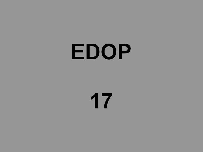 EDOP 17 , Zodiac pour la surveillance de la base navale