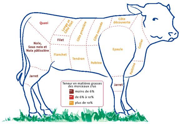 Morceau boeuf maigre