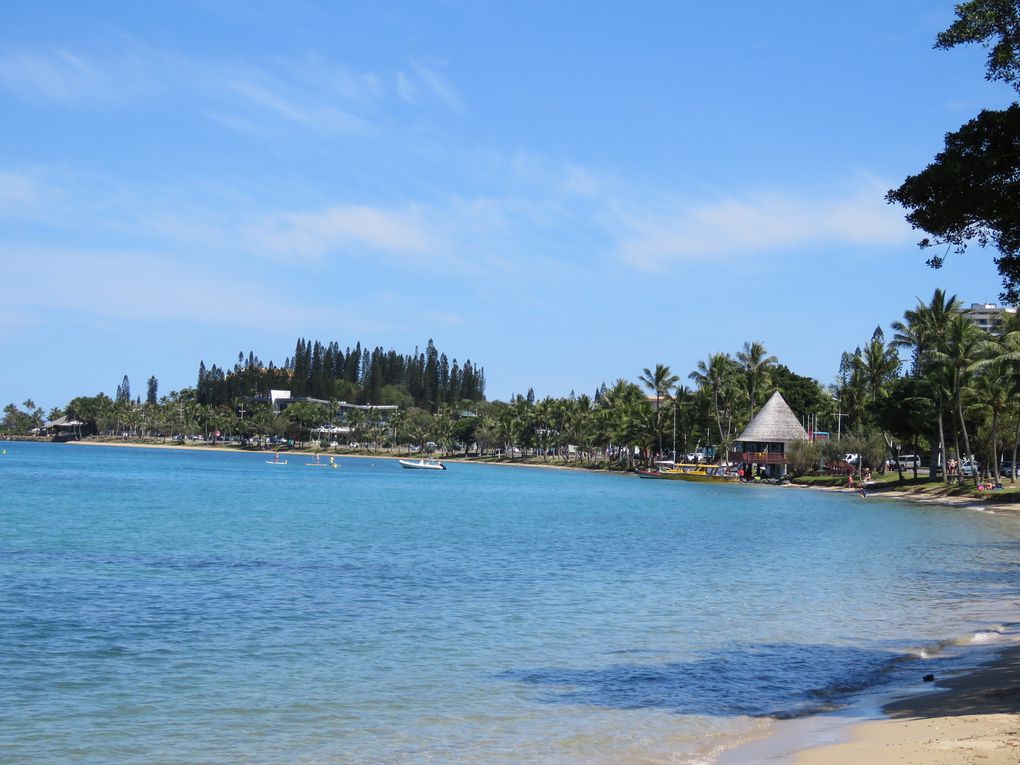 Saga-Néo-Calédonienne..... 3ème et 4ème jours : suite de visite du Grand Sud et de Nouméa.