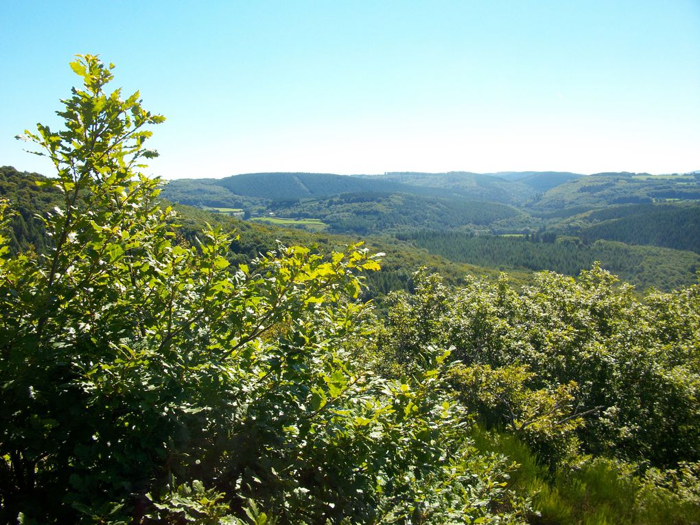 Album - Vallée-de-la-Cure