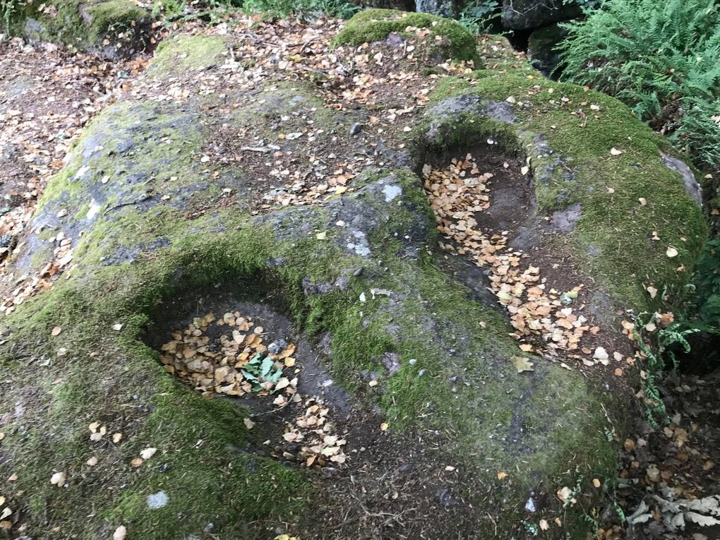 Roches à cupules de la Hexenplatz