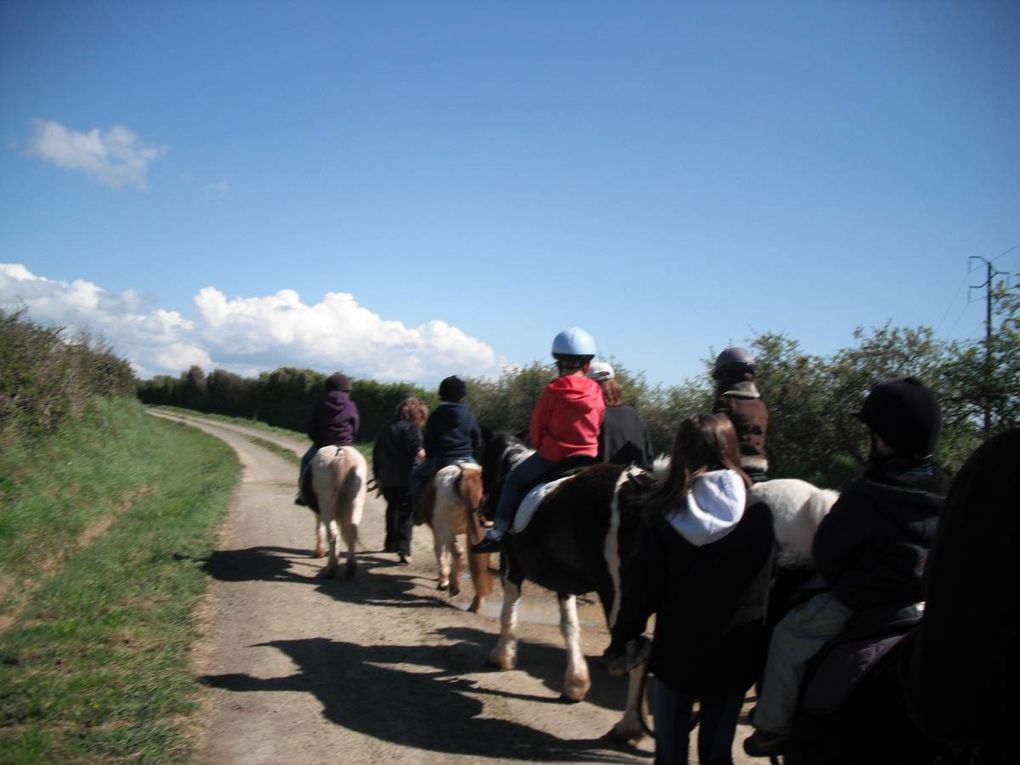 "La Traversée du Grand Canyon"

Sortie : "Equitation au Domaine d'Epona"
Sortie : "Les Chercheurs d'Oeufs aux Jardins de Cybèle"
Kermesse avec le Club PréAdos
Bricolages & Jeux...