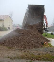 Paillage de la haie