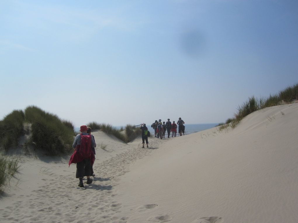 Le chemin débouche sur une immense dune que nous escaladons.