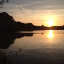 Se soir j'ai voulut aller a la pêche avec ce merveilleux temp ! Je fini bredouille mais environs 20 attaques de broc a 1 métre du bord , mais ils ons la geule fermé c'est brochet :). Mais sa ne peut pas mordre a tous les coup :) mais un bon moment passé au bord de l'eau et c'est sa que j'aime dans la pêche ! 