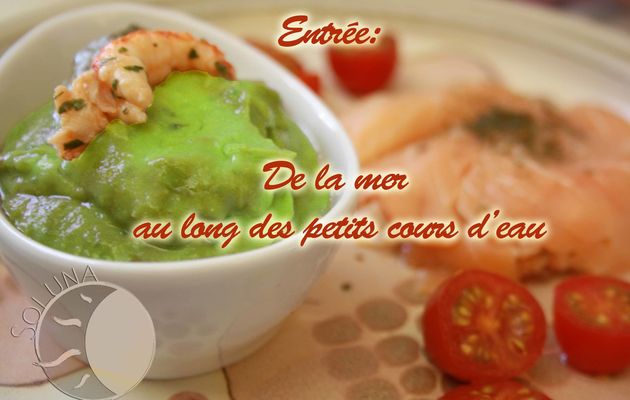 Entrée fraîche au saumon et aux écrevisses accompagnés de son guacamole