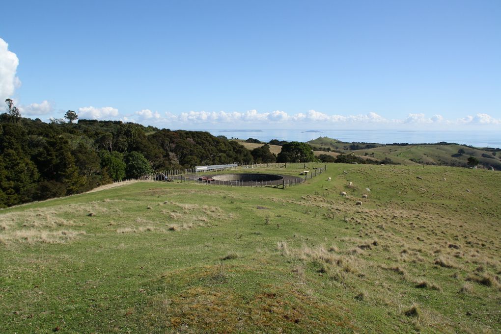 Waiheke Island