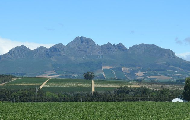 Route des vins de Stellenbosch