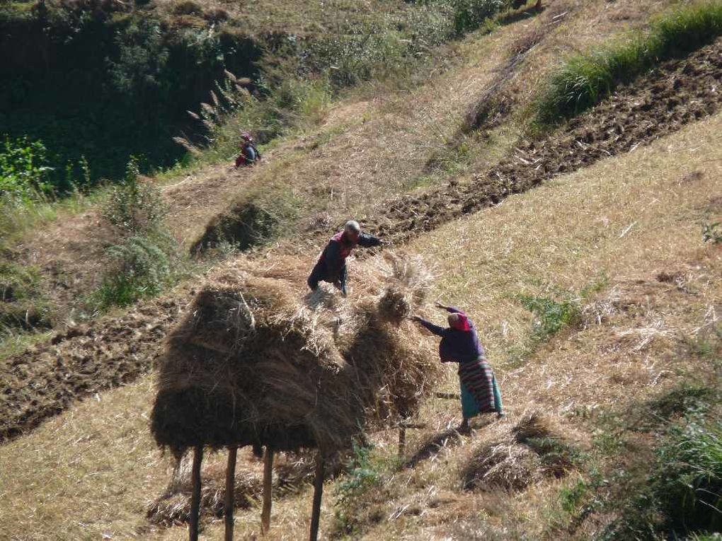 Album - 01. NEPAL