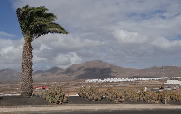 Lanzarote, aux portes du désert