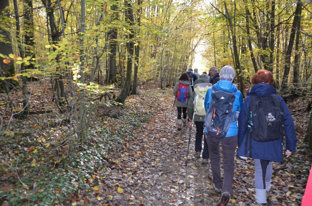 Chapelle St Sanctin dans les bois