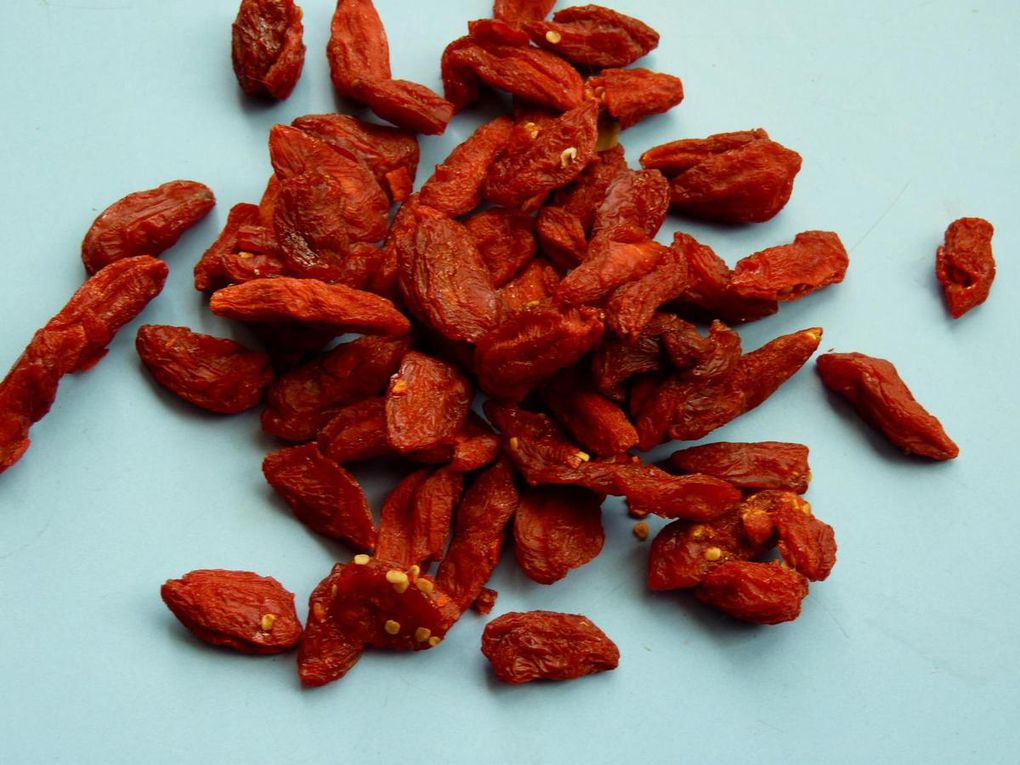 Bais de Goji et Lyciet