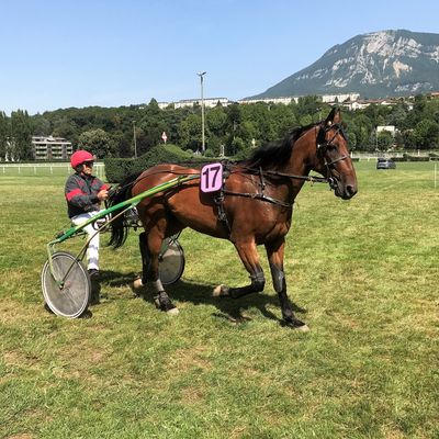 Bonjour cheval de l' Ecurie ADT Aix les Bains 2 Aout