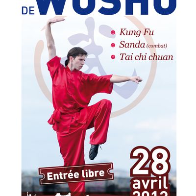 Compétition d'arts martiaux chinois à Quimper - 28 Avril 2013