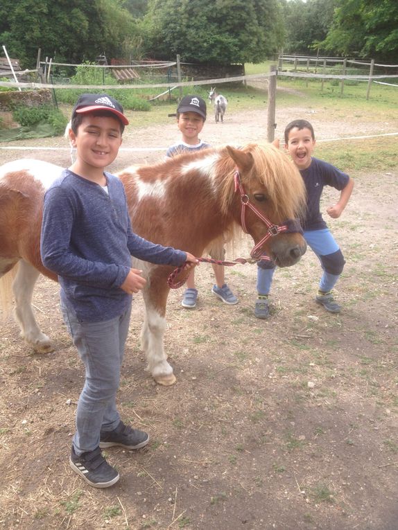 Sortie à la ferme, pour le groupe de CP...