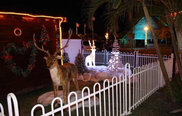 Nuit de reveillon en Nouvelle Calédonie..................