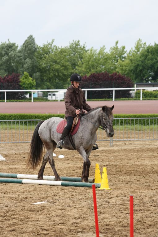 Voici un exemple d'équifun que nous mettons en place durant l'année scolaire. Celui de Cordemais se déroule pendant les finales départementales d'équitation de Saut d'obstacle, de Pony-games, etc.