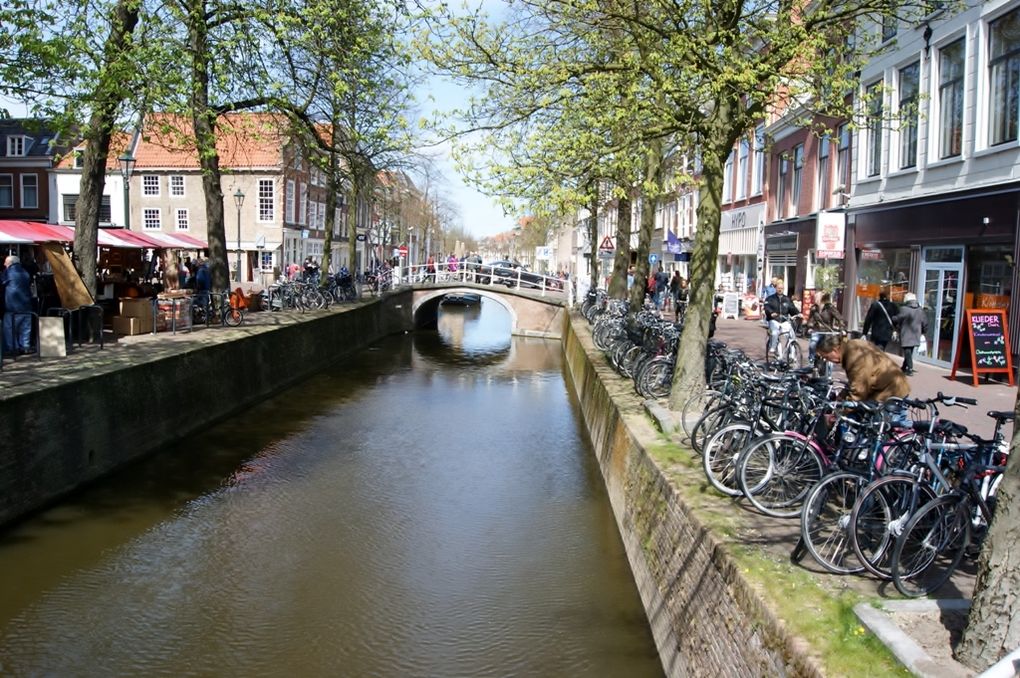 De Piney à Rotterdam