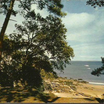 Ile de Noirmoutier - Ile rouge - carte postale année 1970