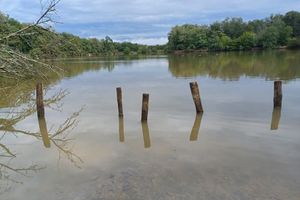 Avis d'obsèques à Pibrac
