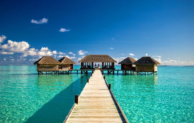 The Maldives: A Tropical Escape