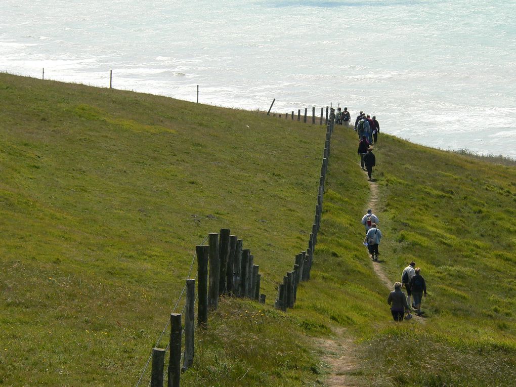 Marche "Le Mont Joli Bois" à partir de Criel sur Mer