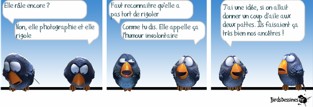 Les zoziaux, Elle et la boîte à lettres
