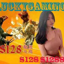 S128 S1288 Berbagai Macam Bonus Sabung Ayam Online