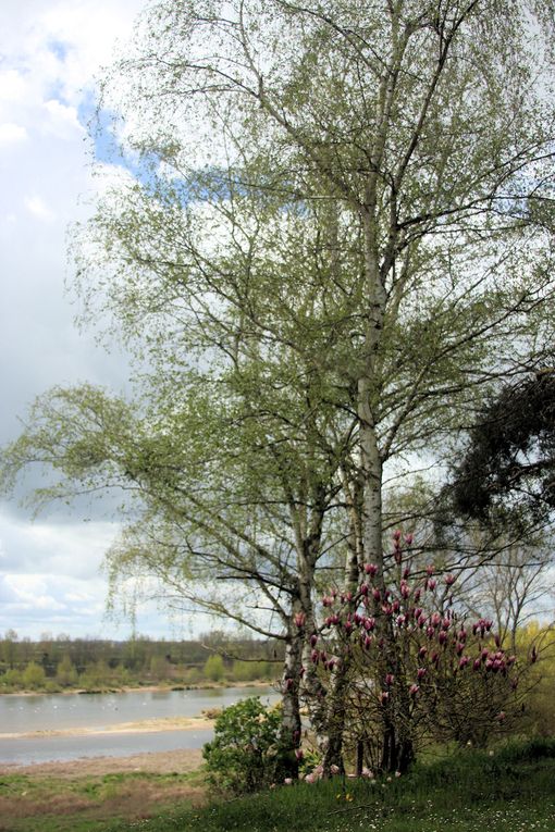 Album 1e - Nature et paysages 2012