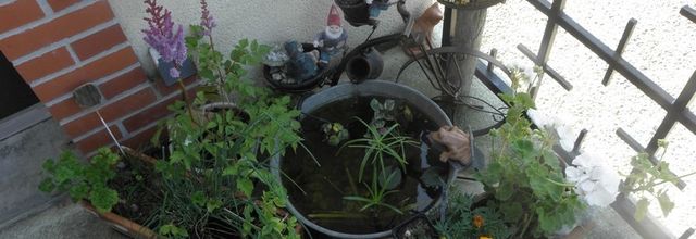 Ma terrasse s'équipe !