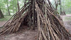 Dans les bois, les cabanes ....