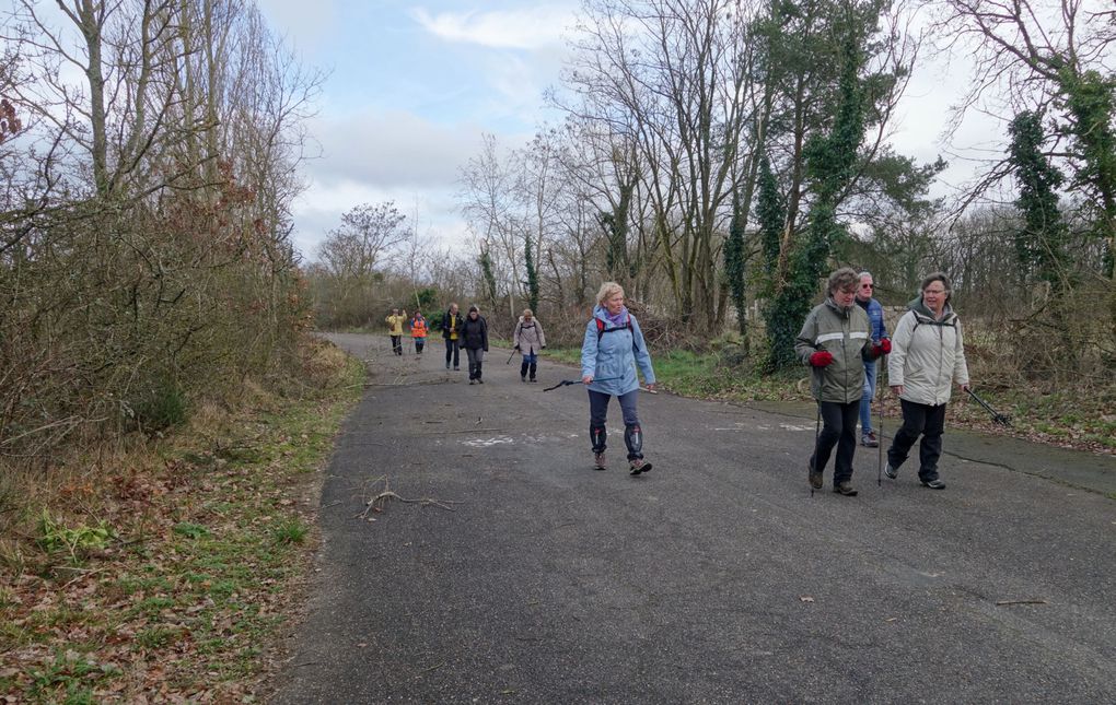 Rando de l'Ardenay du 13 02 2024