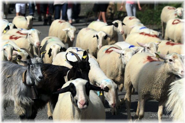 Etape Saint Etienne de Maurs - Boisset