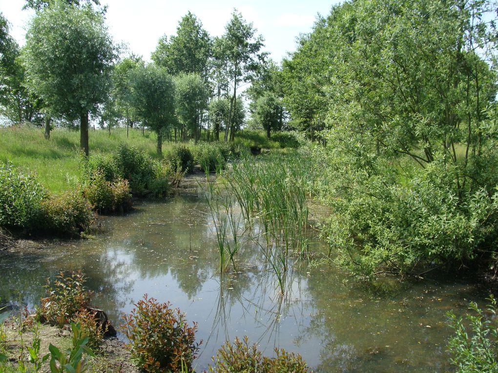 Album - Photos du territoire