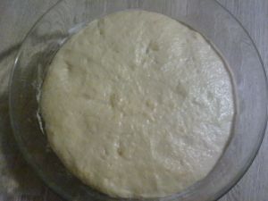 Colomba pasquale casalinga