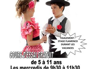 flamenco enfants lille nord pas de calais picardie hauts de france